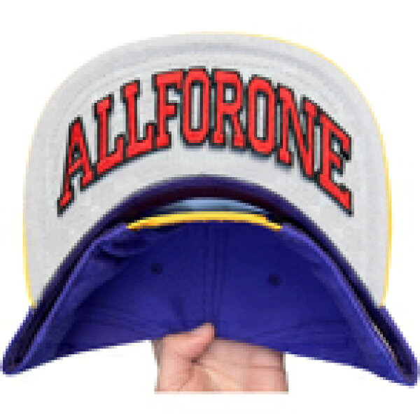 75 x 147 mm【AFO】ALLFORONE 2 WAPPEN 【ゆうパケット配送対象商品】裏バイザーワッペン