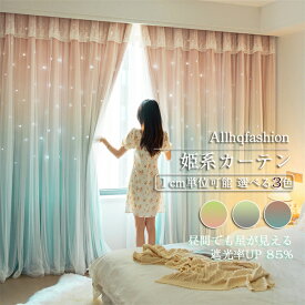 カーテン 幅80-350cm 丈60~255cm 姫系カーテン 1枚 遮光 断熱 省エネ 節電 レース一体型 二重カーテン カーテンバランス おしゃれ 姫カーテン 可愛い ダブルカーテン リビング ベッドルーム 寝室 新居 一人暮らし 新生活 応援