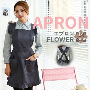 Gv s[X Ȗ ԉ R[q[ p t[TCY ۈm Z ƒ h 킢 ₷ Vv  h ̓  Lb` v[g@Rbg l