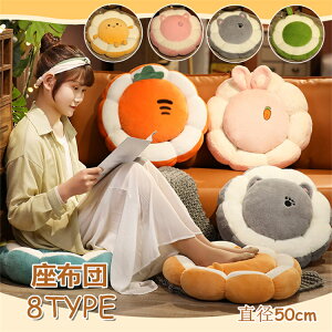 zc 50x50cm ʂ q v[g Lbg \t@[ ~  ̓ ̓