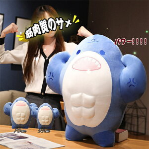ؓ̃T  50cm 70cm    ܂ _炩 D  YQ ᖍ a NX}X v[g p[e  q̓  Ce