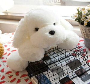  ʂ 30cm 45cm 55cm 65cm   ܂ _炩 D  YQ ᖍ a NX}X v[g p[e  Qׂ v[g Mtg