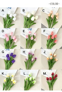 `[bv 10{ T  ԑ ͋[ [ԃAWg p ֘A Cxg̏t Bep CeA  Y Mtg ԓ LO ͂Ȃ