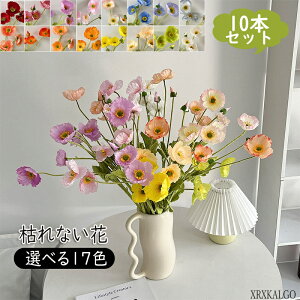 u10%OFFX[p[Z[v|s[ 10{葢 ԑ ͋[ [ԃAWg p ֘A Cxg̏t Bep CeA  Y Mtg ԓ LO