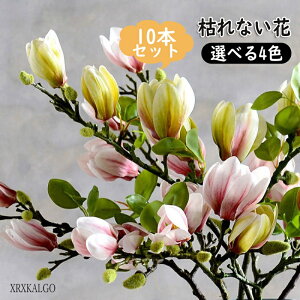 N ؘ@ 10{葢 ԑ 3D nNN  ͋[ [ԃAWg p ֘A Cxg̏t Bep CeA  Y Mtg ԓ LO