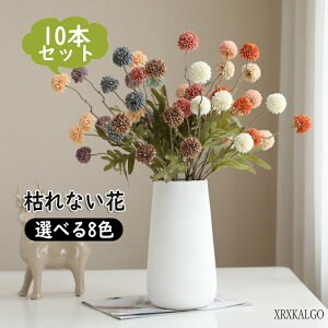 u10%OFFX[p[Z[v^|| 10{葢 ԑ 8F ͋[ [ԃAWg p ֘A Cxg̏t Bep CeA  Y Mtg ԓ LO