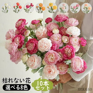 u10%OFFX[p[Z[vO ڂ 10{葢 ԑ 8F ͂Ȃ ͋[ [ AWg p Cxg̏t Bep CeA  Y Mtg ԓ LO 