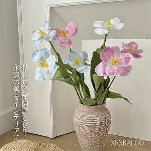 `[bv 10{葢 ԑ 3D 7F ͋[ [ԃAWg p ֘A Cxg̏t Bep CeA  Y Mtg ԓ LO