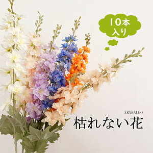 Ӓ 10{葢 ԑ 3D 6F ͋[ [ AWg p Cxg̏t Bep CeA  Y Mtg ԓ LO ֘A