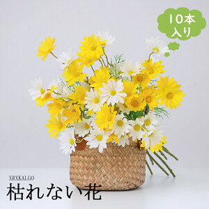 e mËe 10{  ԑ fCW[ e LN }^J ͋[ [ԃAWg p Cxg̏t Bep CeA  Y Mtg ԓ ֘A