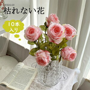 o 10{葢 ԑ 3D }`bN ͋[ [ԃAWg p Cxg̏t Bep CeA  Y Mtg ԓ LO ֘A