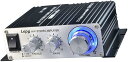 Lepy LP-V3S 25W*2 小型 アナログ オーディオ アンプ 　LPV3（ブラック/BLACK）+【PSE規格】12V5Aアダプター付属