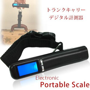 ݂艺 fW^XP[ X[cP[X fW^  v sp ͂ Hanging Scale 40kg܂10g͂܂B X[cP[X gN gNL[ L[obO ו̏d