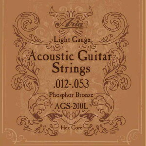 Aria ARIA AA Acoustic Guitar tH[NM^[ Light Cg tHXt@[uY AGS-200L