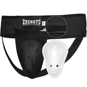 ZHENGTU t@[Jbv {NVO iZ IK[h uPPt@EJbvv uO\vuϏՌ S/M/LTCYvuVR̊ɏՍށvulAqpvœKȋEeRh