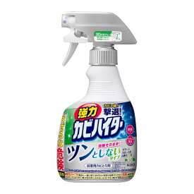 ハイター 強力カビハイター ツンとしないタイプ ハンディスプレー 360ml