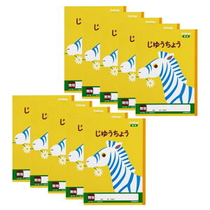 LNgE wK JbWAj} 䂤傤 B5 LP70 10