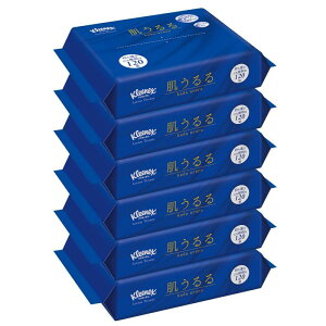 eBbV \tgpbN ێ 240(120g) 6pbN NlbNX  (܂Ƃߔ)