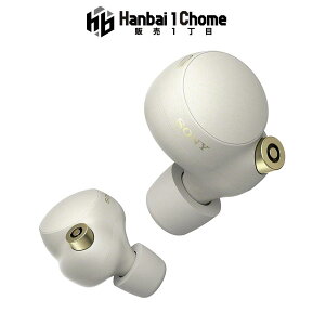 �u�������K�i�v�\�j�[ WF-1000XM4 �V���o�[ ���C�����X�m�C�Y�L�����Z�����O�C���z�� ���S���C�����X