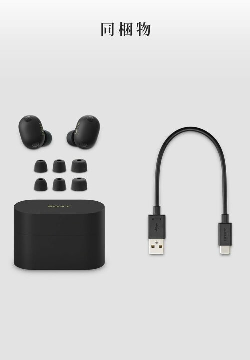 楽天市場】SONY WF-1000XM6 ブラック ワイヤレスイヤホン Bluetooth 