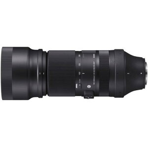 �����Y SIGMA 100-400mm F5-6.3 DG DN OS [�t�W�t�C�����p]