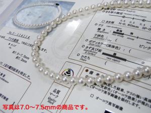 オーロラ花珠あこや本真珠パールネックレス8.0~8.5mm+イヤリングセット【送料無料】【専用ケース・鑑別書付】【0222pearl】【smtb-m】【送料無料_0927】【sm15-17】【楽ギフ_包装】