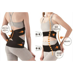サポーター バストバンド サポーターの人気商品 通販 価格比較 価格 Com