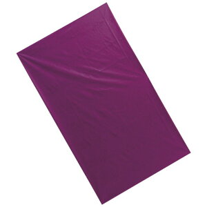 EBY gXt@[V[g M 73cm×120cm XCfBOV[g   ړ ̈ʕϊ ڏ
