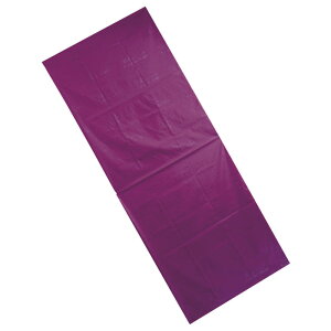 EBY gXt@[V[g L 73cm×180cm XCfBOV[g   ړ ̈ʕϊ ڏ
