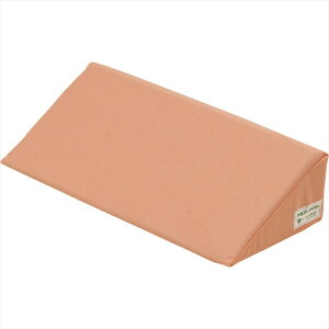 ACE\lbNX i[ZgfBJpbg50 |WVjONbV ̈ʕϊ  p Mŉ