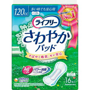 j`[ Ct[ ₩pbhłSp 16 AƂpbh yփpbh l̂ނ l̃Ic jE`[