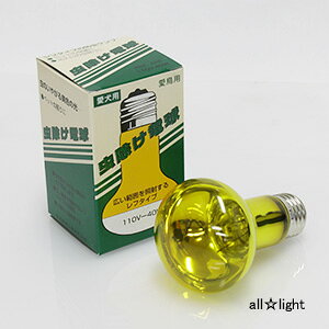 ATq@d 40Wi햌ȂEpj E26 R62