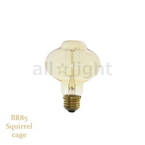 @GW\ouiGW\dj@BR85@E26@110V@40W@Squirrel cage@BR85 E26 110V 40W SC