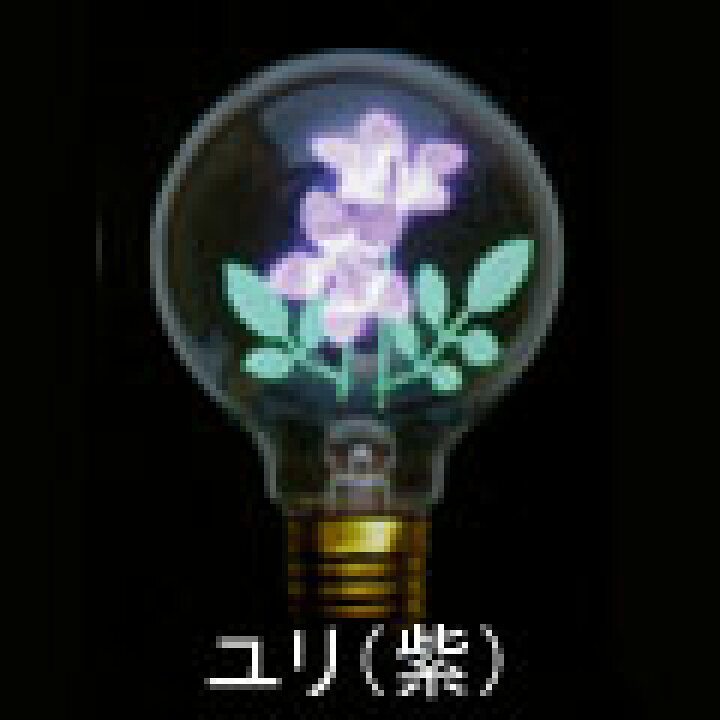 楽天市場】アサヒ チャームランプ ユリ（紫） E26 チャーム 