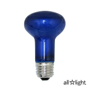 ATq@tv@ϔMJ[iʃtXg^Cvj@40W@E26@u[iFj@R62 E26 110V-40W(BT)