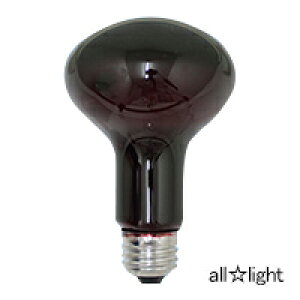 ATq@tv@ϔMJ[iʃtXg^Cvj@60W@E26@bhiԐFj@R80 E26 110V-60W(RT)