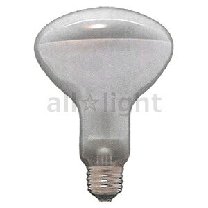 ATq@tvipj@100W@E26@R100 E26 110V-100W(NF)