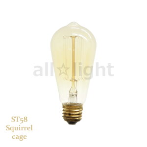@GW\ouiGW\dj@iX`@ST58@E26@110V@40W@Squirrel cage@ST58 E26 110V 40W SC