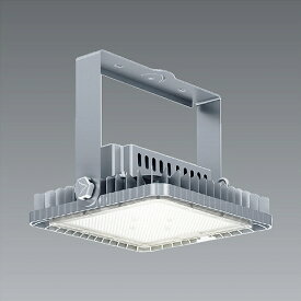 ENDO　LED耐塩軽量フラッドライト　昼白色　5000K　水銀ランプ1000W器具相当　拡散　ERS6373SA　（ランプ付）