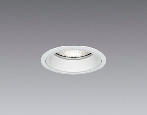 ENDO�@LED�x�[�X�_�E�����C�g�@12000K�|1800K�����@���@��������100mm�@FHT42W×2�����@�g�U�@SXD1055W�@�i�����v�t�E�d���ʔ��j