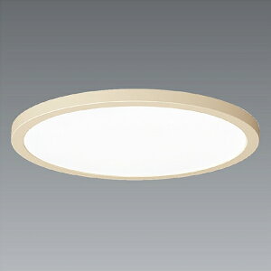 ENDO�@LED���F�����V�[�����O���C�g�@�����O�Z�[�h�@8��@���C�g�u���E���@���|�V�[�����O��t�@ERG5496NB�@�i�����v�t�j