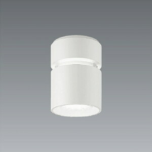 ENDO�@LED�V�[�����O�_�E�����C�g�@R4000�^�C�v�@5000K�@FHT42W�`×3�������@���t��175mm�@���L�p51°�@ERG5530W�@�i�����v�t�j