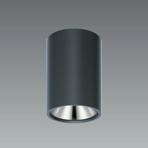 ENDO�@LED�V�[�����O�_�E�����C�g�@���t�p�@��84mm�@���@ERG5553B�i�����v�ʔ��j