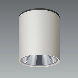 ENDO�@LED�����p�O���A���X�V�[�����O�_�E�����C�g�@���t�p�@��140mm�@�h�J�`�@Disk75�E100�E150�@���@ERG5618W�i�����v�ʔ��j