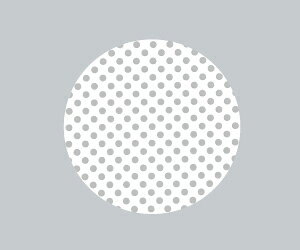 ENDO�@�_�E�����C�g�p�@�f�B�t���[�W���������Y�@��125mm�p�@RB573C