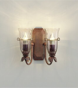 ENDO@LEDuPbg@p@dF2700K@VfA40W`×2@XRB1052UB@ivʔj