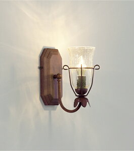 ENDO LEDブラケット 屋内用 電球色2700K 透明シャンデリア球40W形相当 XRB1053UB (ランプ別売)