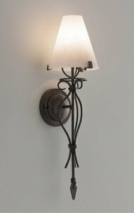 ENDO@LEDuPbg@p@6500K|2700K@Fit@@tXgNvg40W`@XRB1055XB@ivʔj