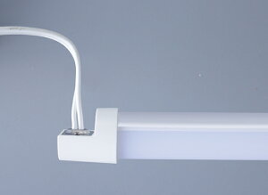 ENDO@NHipƖ@P[XpT8ǖh^`[uW[@NN1@zCg`[u@1198mm@4ځ@Type@40W^Cv@RA670NB@idʔj