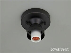 㓡Ɩ@gƖ@V[OCg@rX~65t@h@t^Cv@100W܂őΉ@E26p@vʔ@GLF0259BK 󒍐Yi